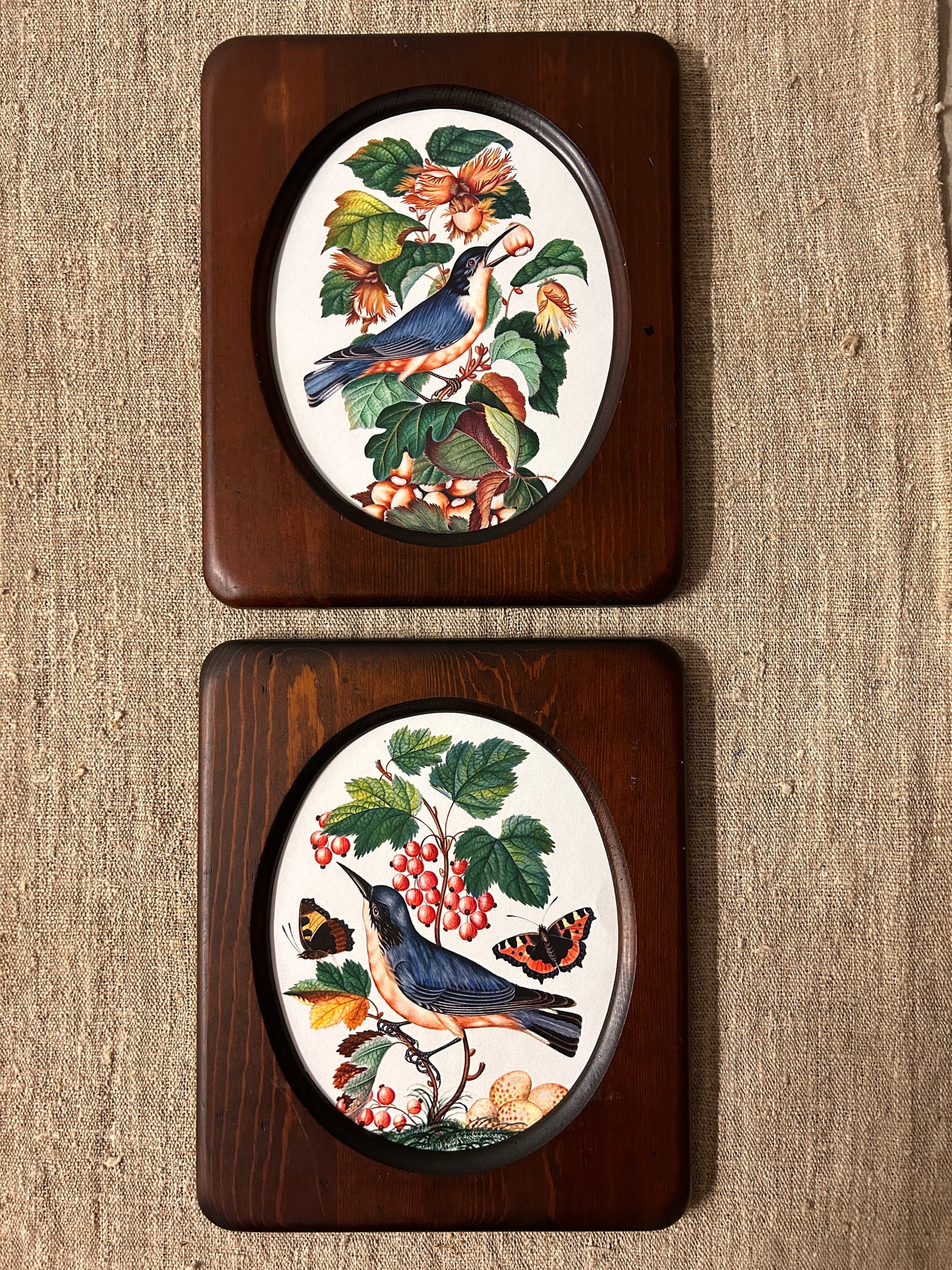 Bird Prints in Vintage Wood Oval Frames