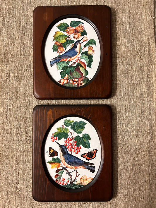 Bird Prints in Vintage Wood Oval Frames