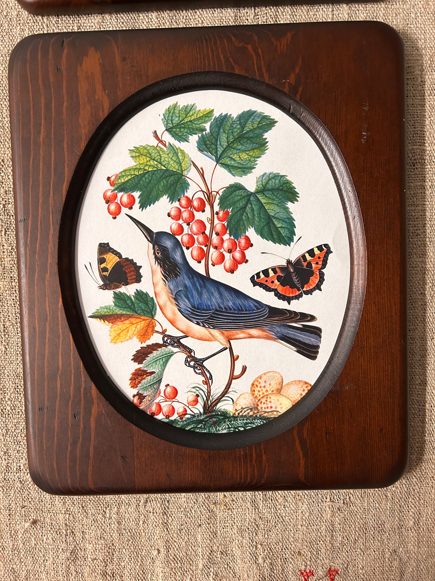 Bird Prints in Vintage Wood Oval Frames
