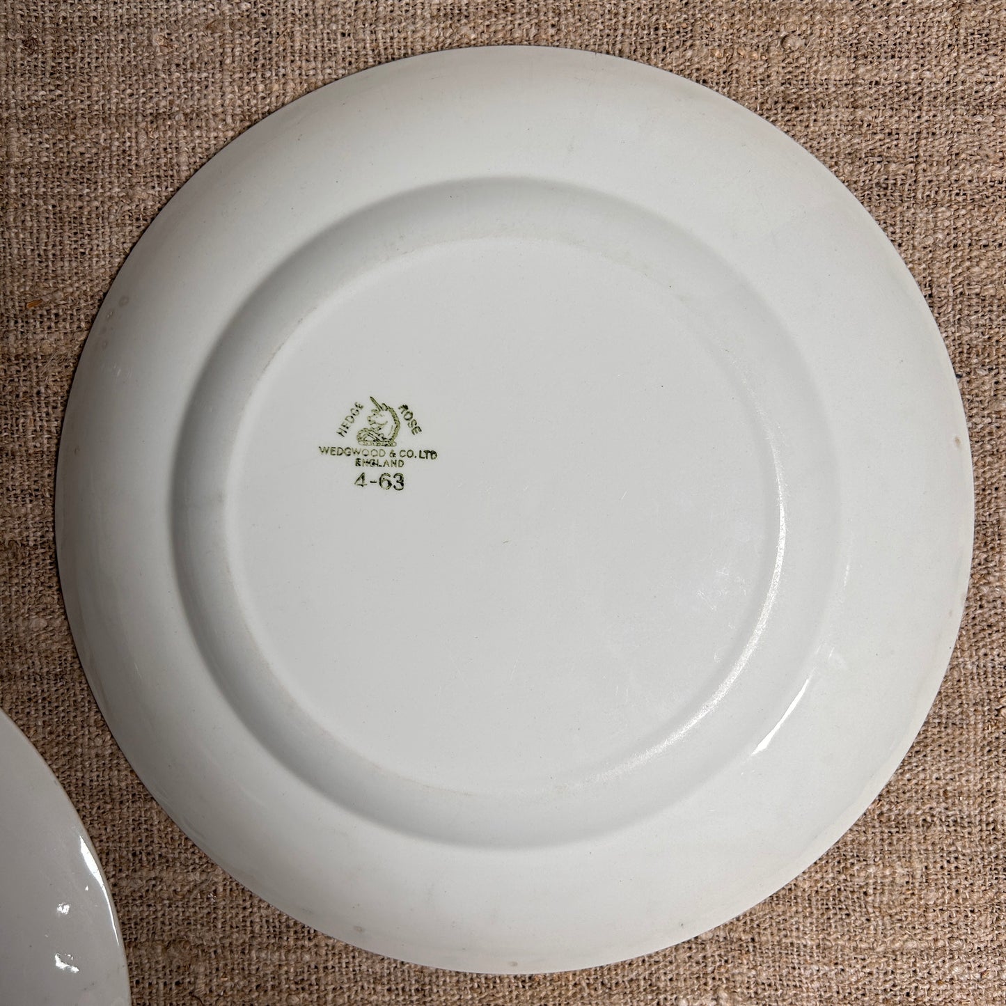 Wedgwood Hedge Rose White Dinner Plate