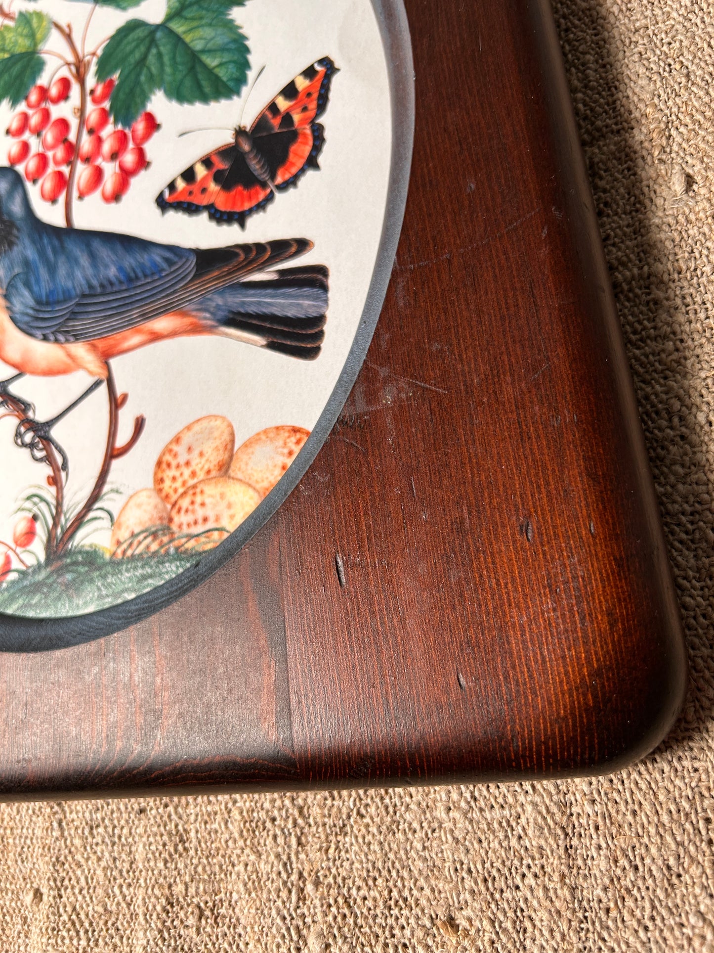 Bird Prints in Vintage Wood Oval Frames