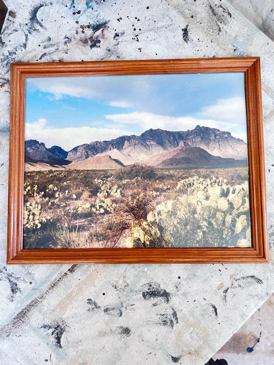 Framed Desert Mountain Landscape Photo with Cactus, Wood Frame (12x15)