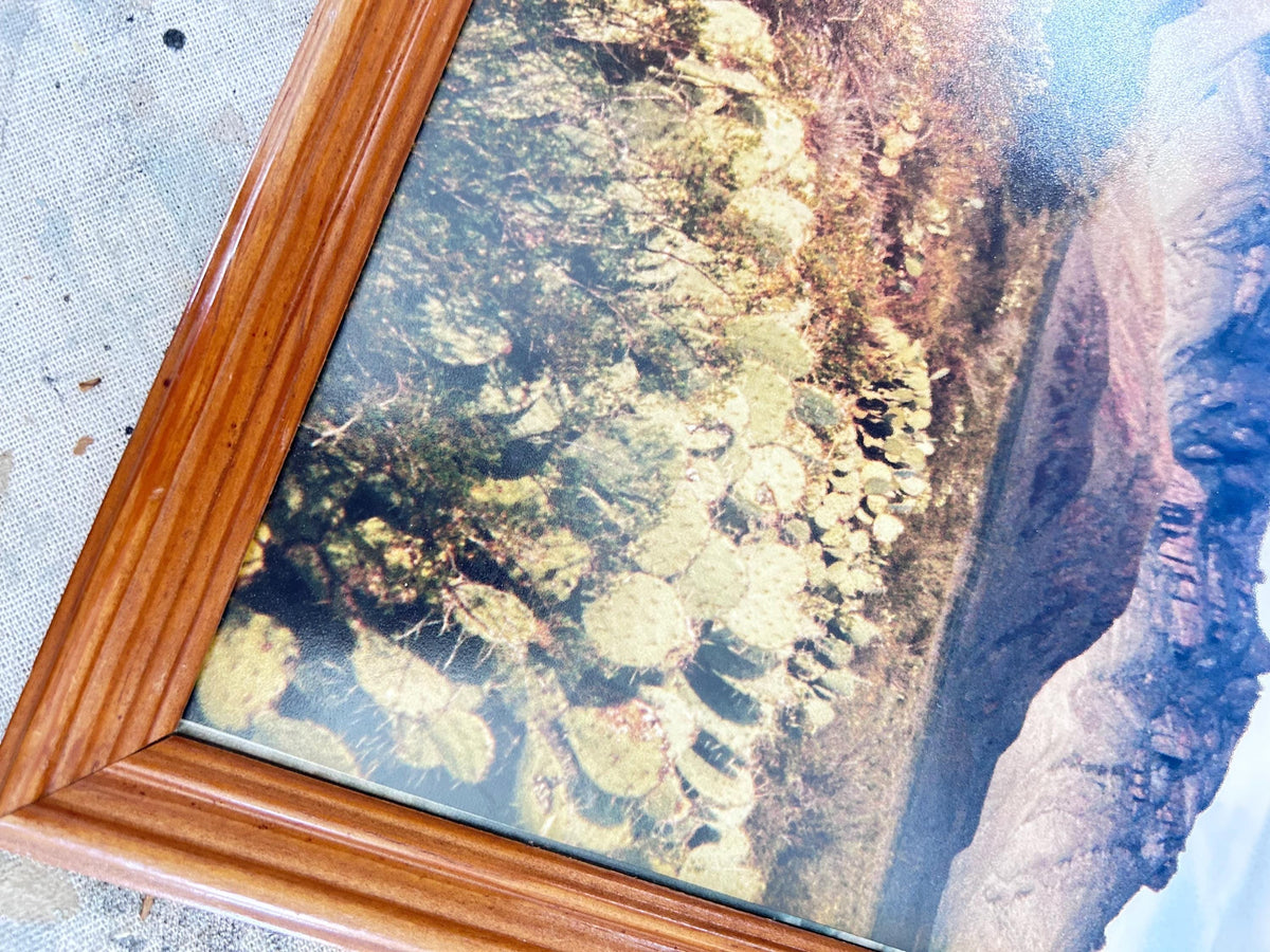 Framed Desert Mountain Landscape Photo with Cactus, Wood Frame (12x15)