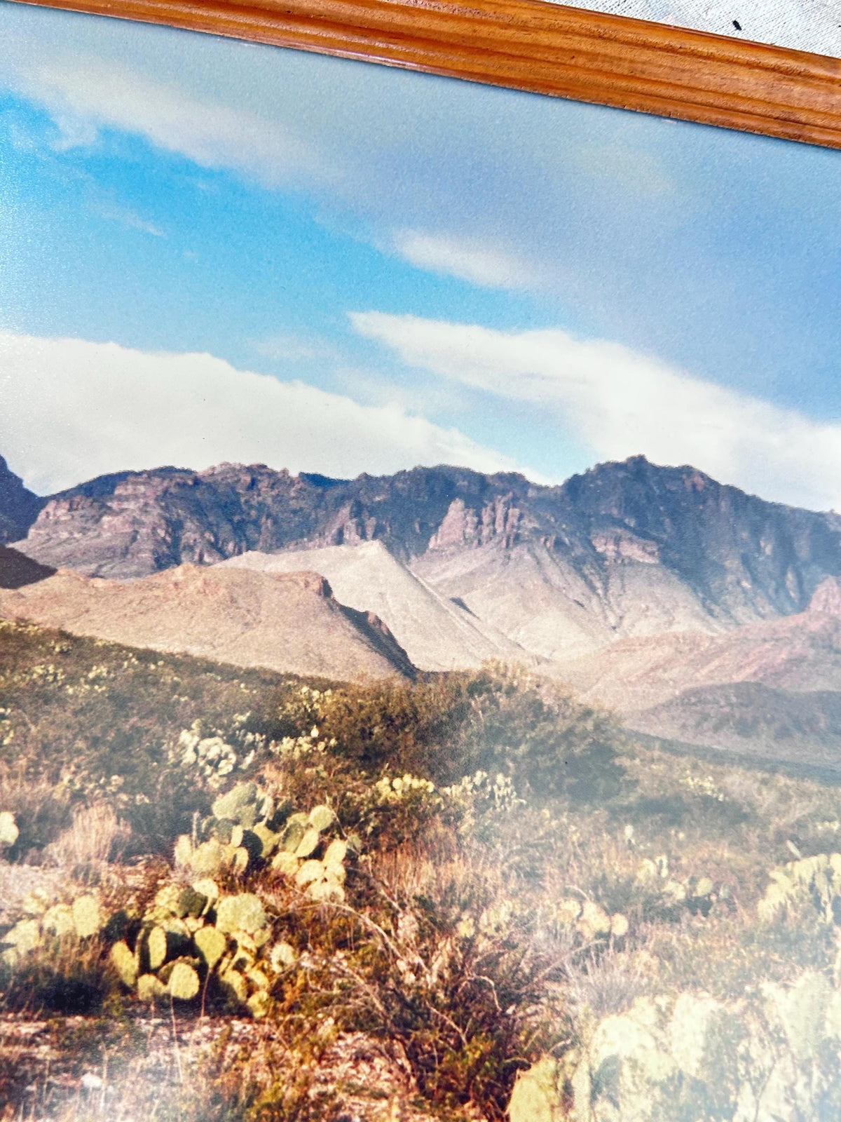 Framed Desert Mountain Landscape Photo with Cactus, Wood Frame (12x15)