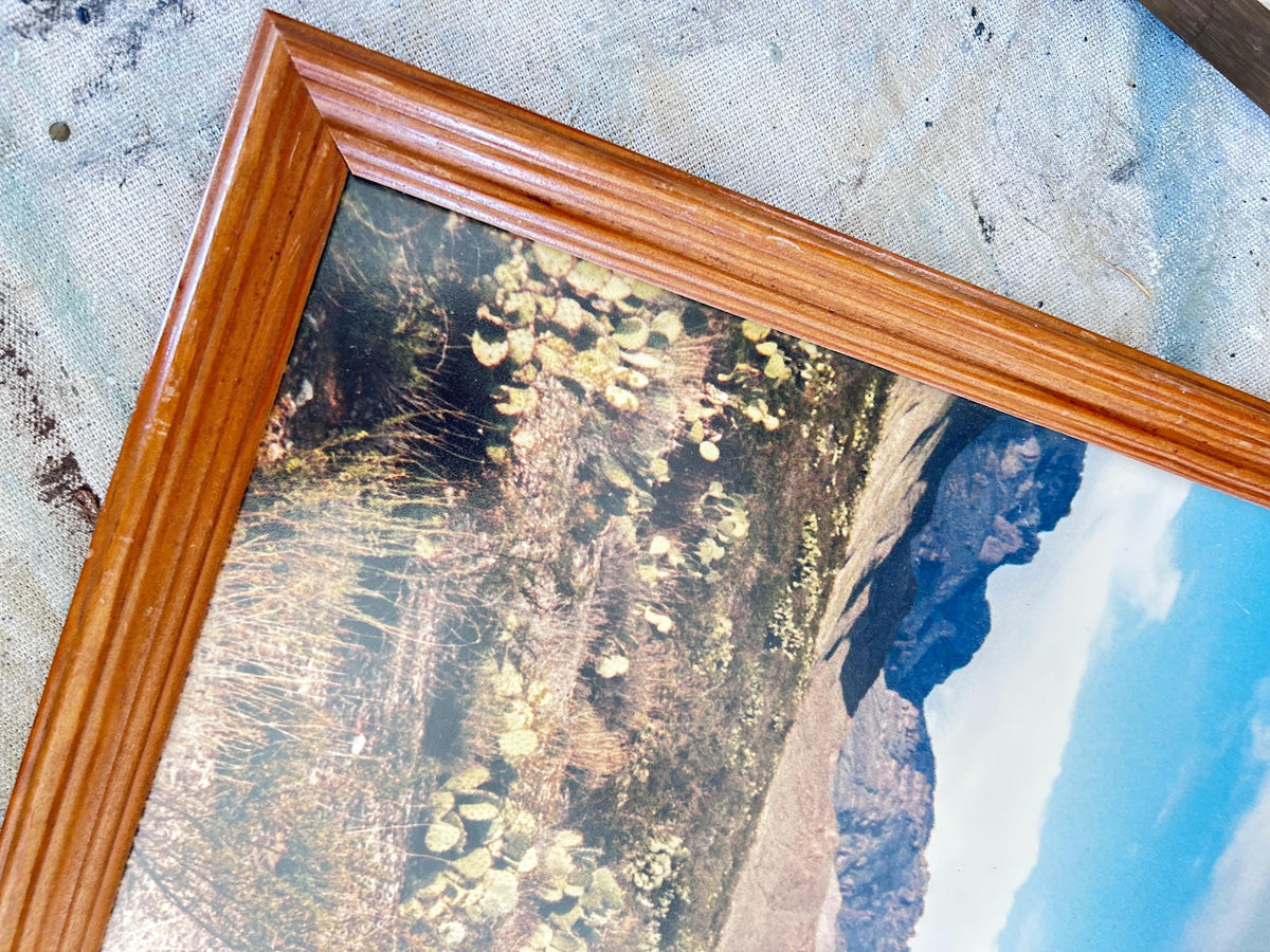 Framed Desert Mountain Landscape Photo with Cactus, Wood Frame (12x15)